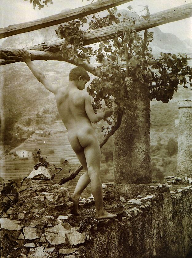 Старинные фото юношей и парней фотография №10 Старинные фото юношей и парней фотография №10